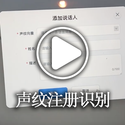 Voiceprint recognition